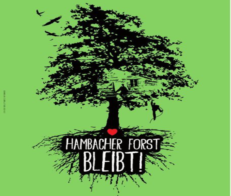 Tag X – seit drei Tagen Räumung im Hambacher Forst
