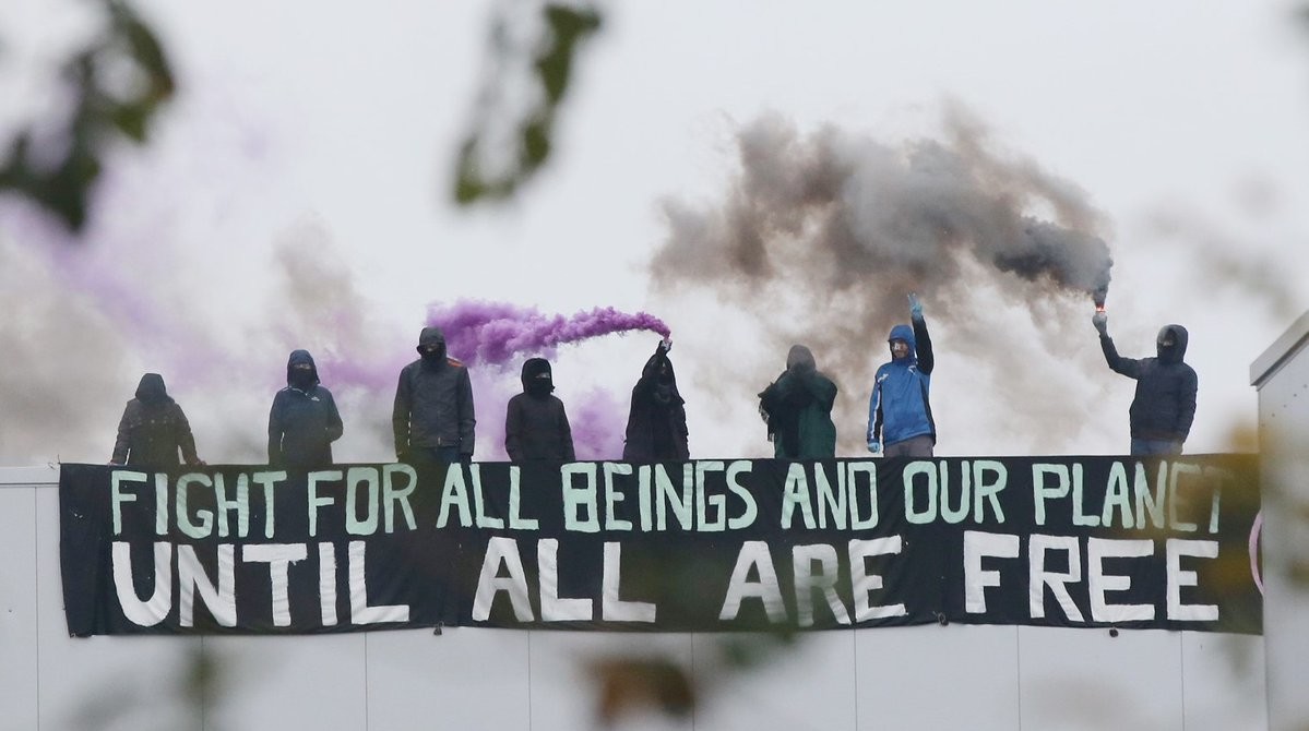 Tear Down Tönnies – Repression in der Tierbefreiungsbewegung
