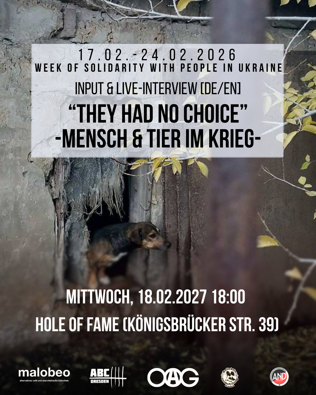 They had no choice – Mensch und Tier im Krieg in der Ukraine