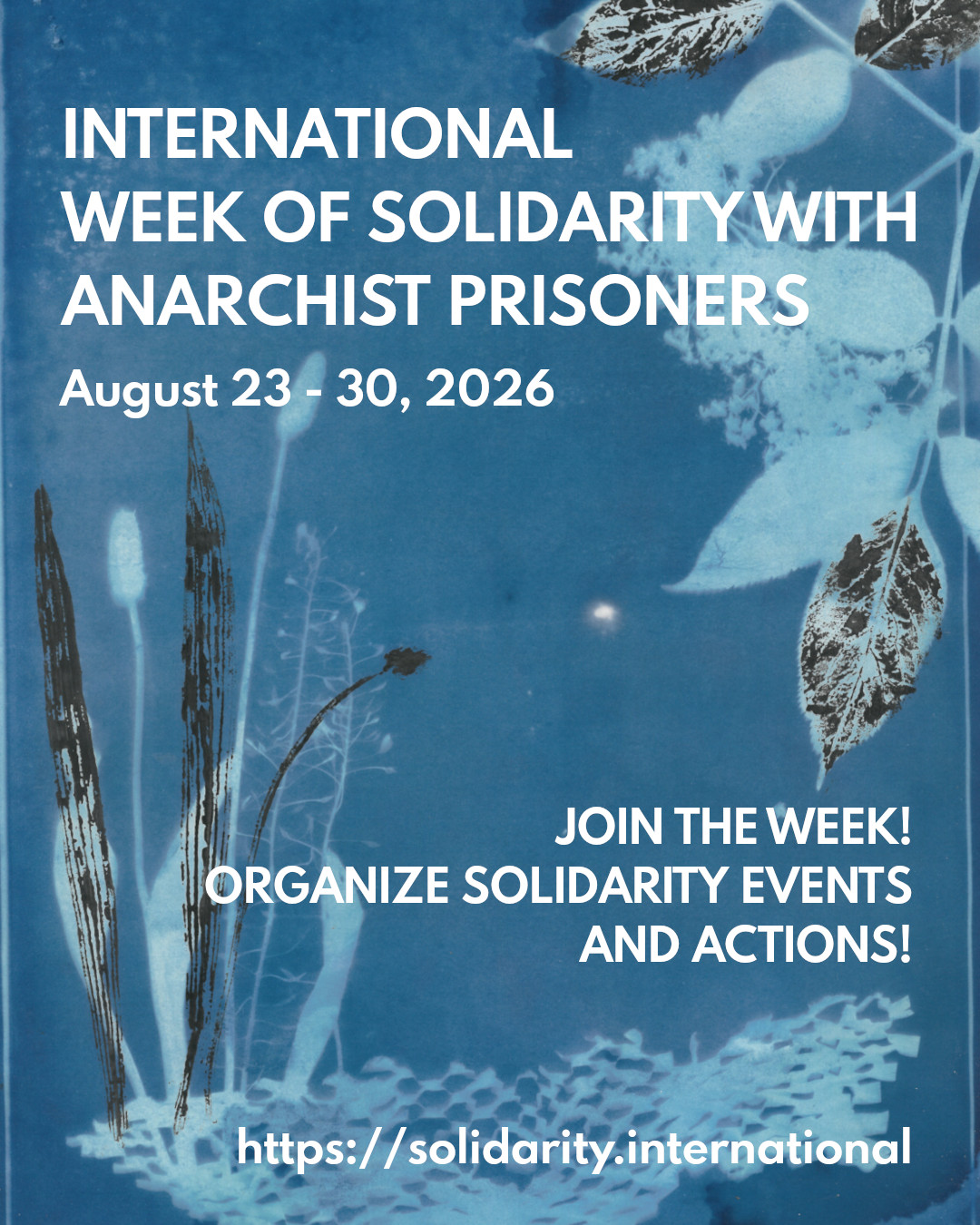 International Week of Solidarity with Anarchist Prisoners August 23 – 30, 2026